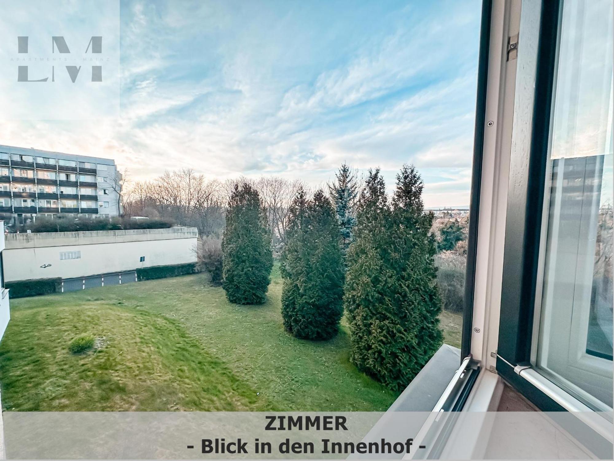 Lm-Apartmentsmainz-01 ภายนอก รูปภาพ