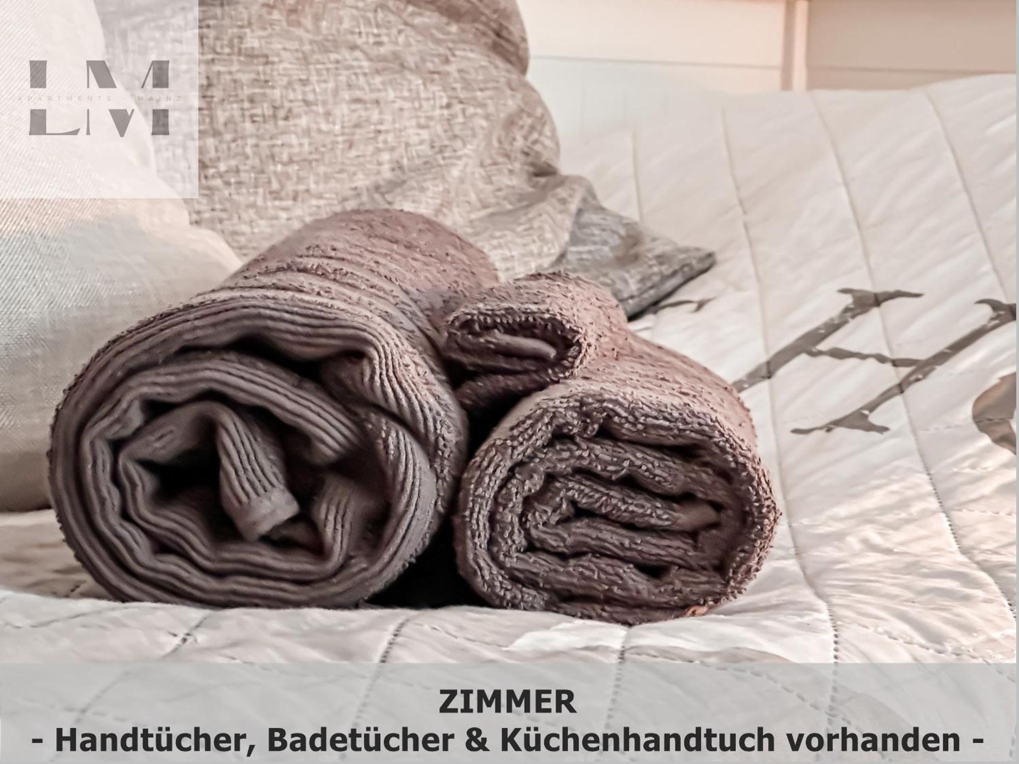 Lm-Apartmentsmainz-01 ภายนอก รูปภาพ